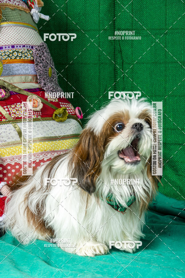 Buy your photos of the eventFotografia Pet Veterin�ria S�o Francisco on Fotop