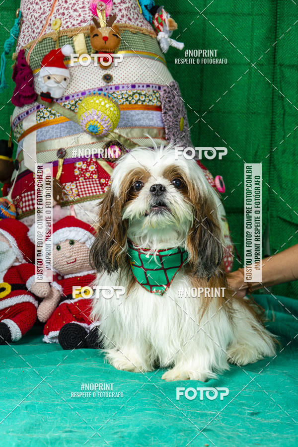 Buy your photos of the eventFotografia Pet Veterin�ria S�o Francisco on Fotop