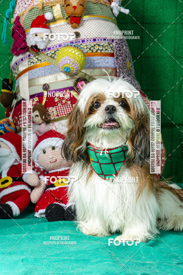 Buy your photos of the eventFotografia Pet Veterin�ria S�o Francisco on Fotop