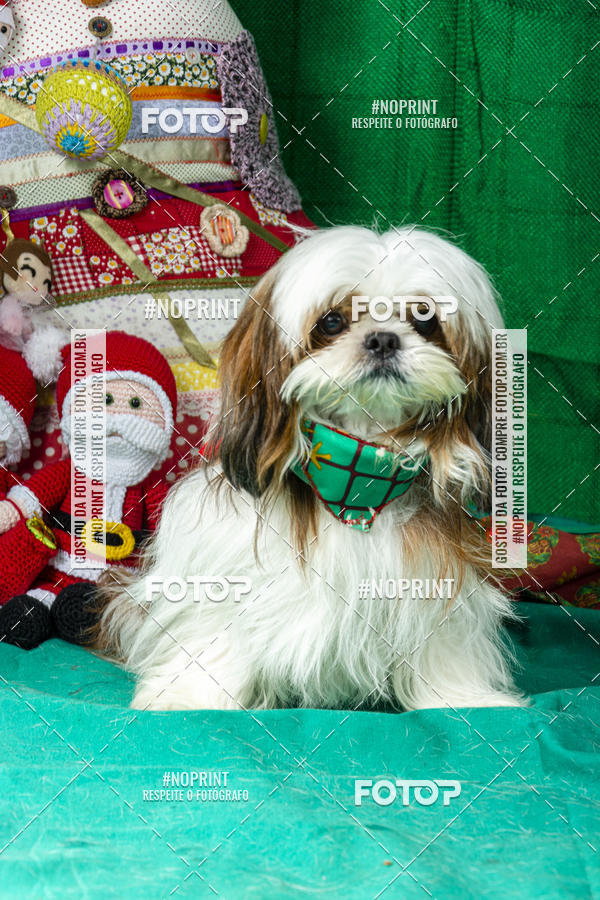 Buy your photos of the eventFotografia Pet Veterin�ria S�o Francisco on Fotop