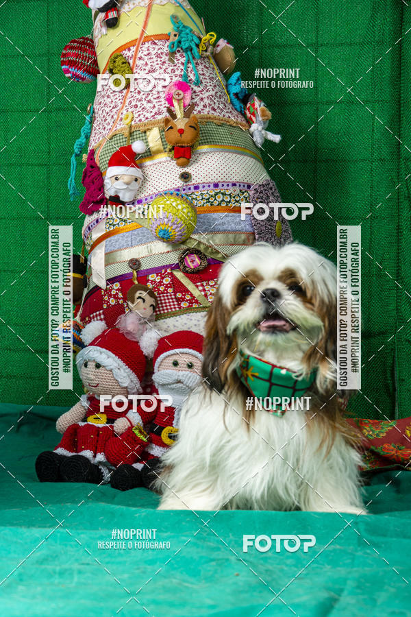 Buy your photos of the eventFotografia Pet Veterin�ria S�o Francisco on Fotop