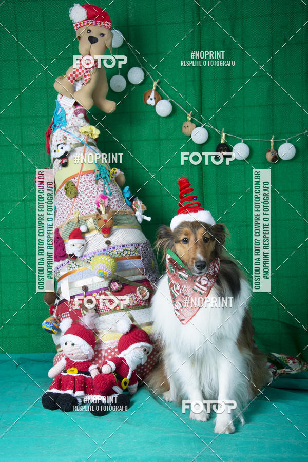 Buy your photos of the eventFotografia Pet Veterin�ria S�o Francisco on Fotop