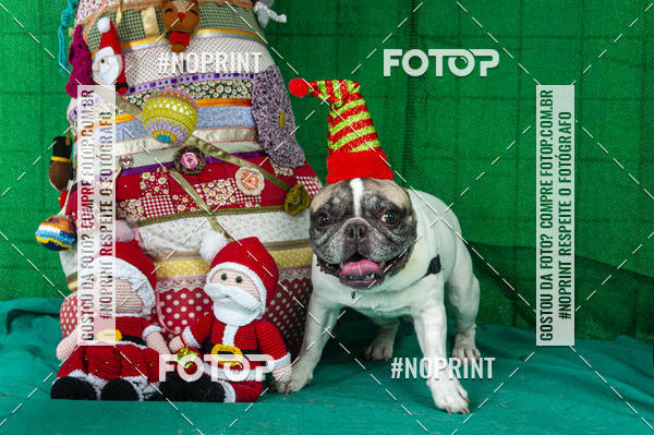 Buy your photos of the eventFotografia Pet Veterin�ria S�o Francisco on Fotop