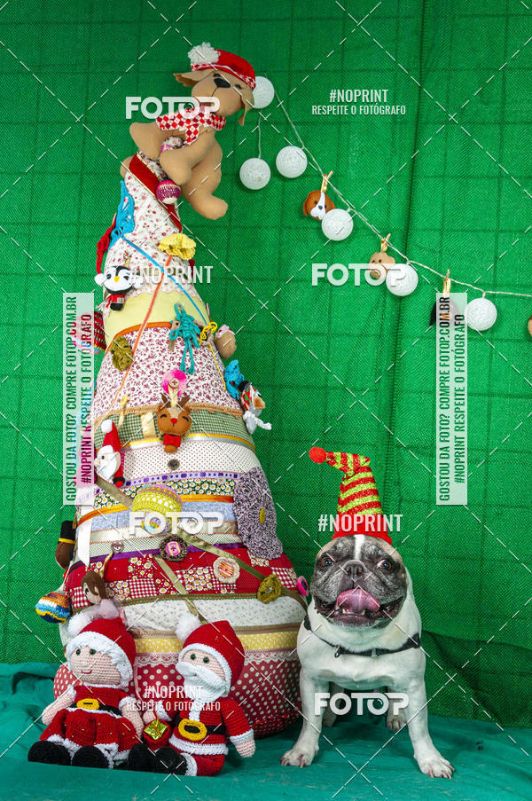 Buy your photos of the eventFotografia Pet Veterin�ria S�o Francisco on Fotop