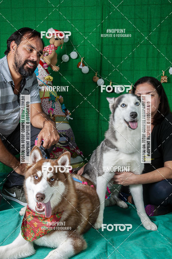 Buy your photos of the eventFotografia Pet Veterin�ria S�o Francisco on Fotop