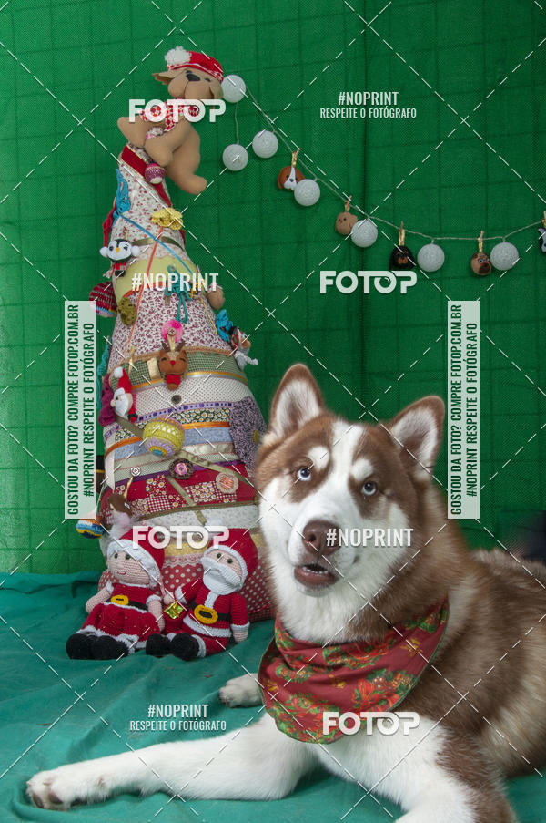 Buy your photos of the eventFotografia Pet Veterin�ria S�o Francisco on Fotop