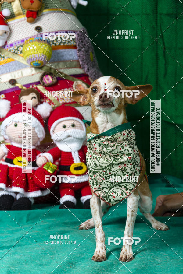 Buy your photos of the eventFotografia Pet Veterin�ria S�o Francisco on Fotop