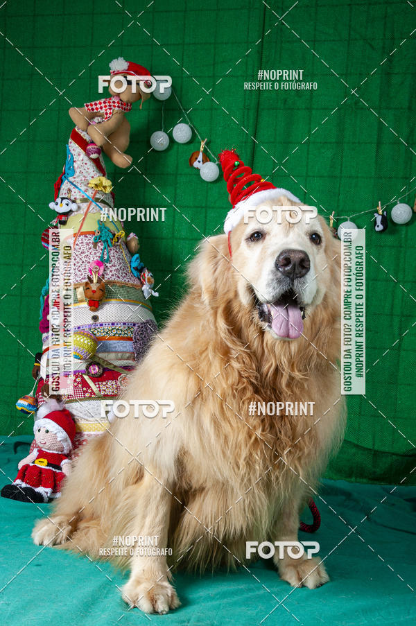 Buy your photos of the eventFotografia Pet Veterin�ria S�o Francisco on Fotop