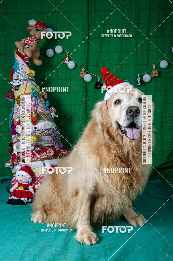 Buy your photos of the eventFotografia Pet Veterin�ria S�o Francisco on Fotop