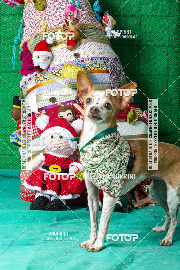 Buy your photos of the eventFotografia Pet Veterin�ria S�o Francisco on Fotop