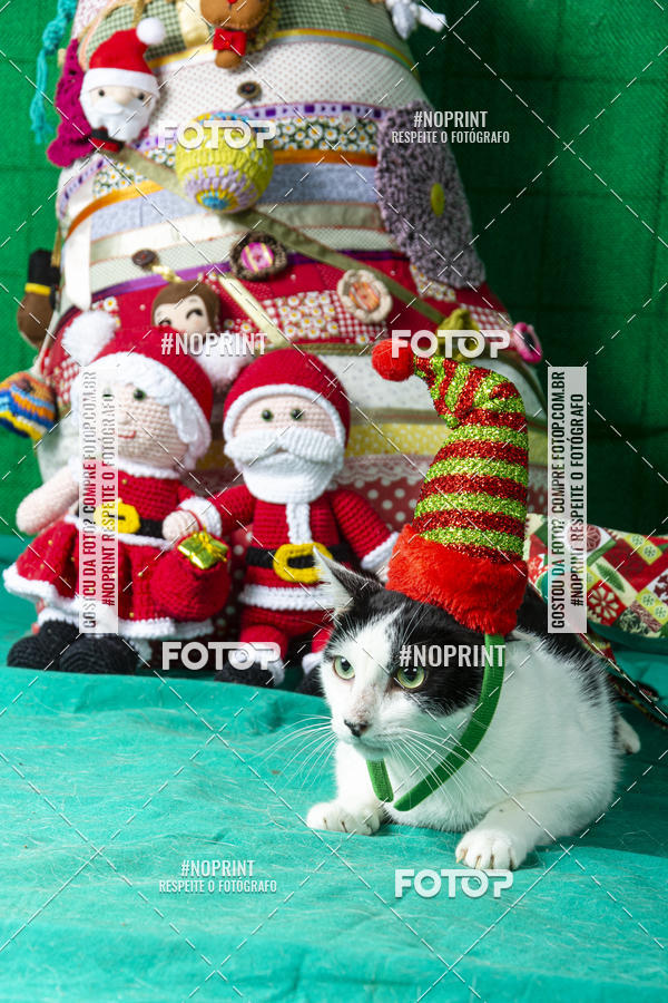 Buy your photos of the eventFotografia Pet Veterin�ria S�o Francisco on Fotop