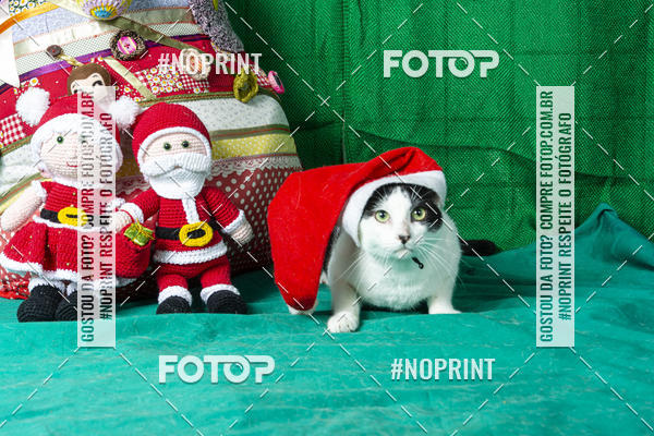 Buy your photos of the eventFotografia Pet Veterin�ria S�o Francisco on Fotop