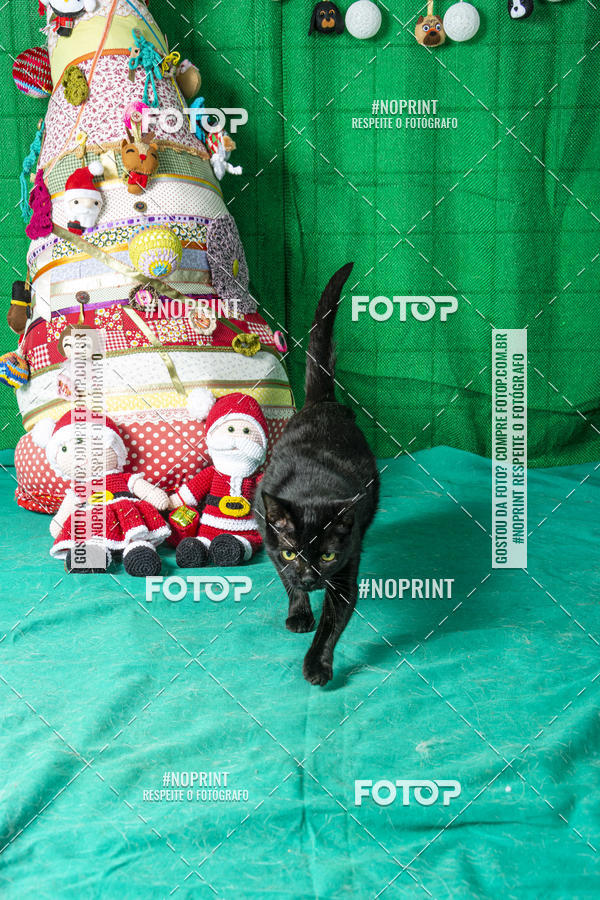 Buy your photos of the eventFotografia Pet Veterin�ria S�o Francisco on Fotop