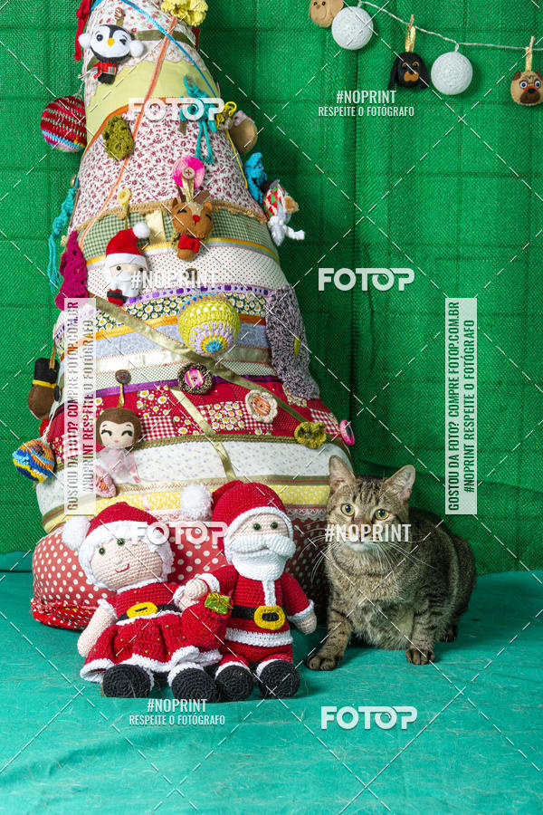 Buy your photos of the eventFotografia Pet Veterin�ria S�o Francisco on Fotop