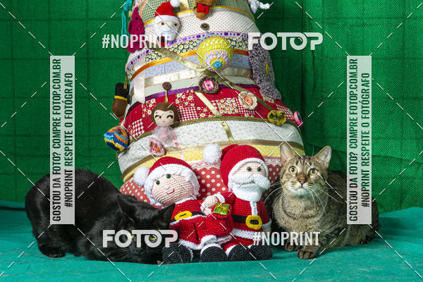 Buy your photos of the eventFotografia Pet Veterin�ria S�o Francisco on Fotop