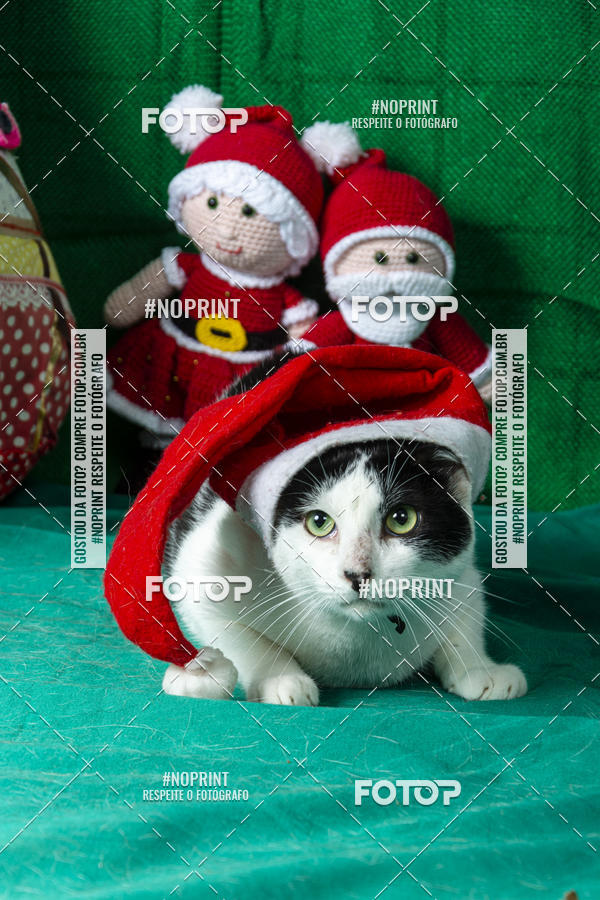 Buy your photos of the eventFotografia Pet Veterin�ria S�o Francisco on Fotop