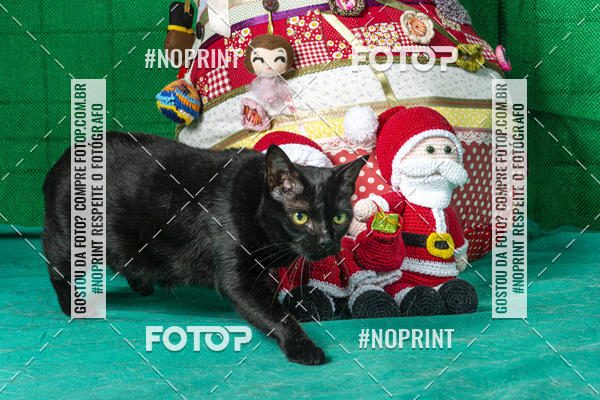 Buy your photos of the eventFotografia Pet Veterin�ria S�o Francisco on Fotop