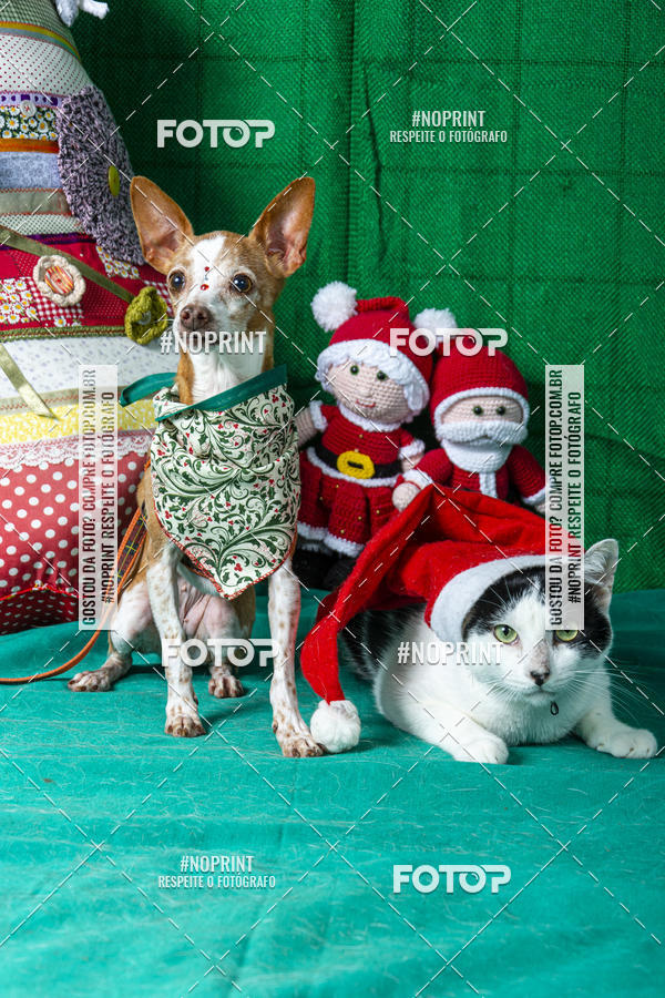 Buy your photos of the eventFotografia Pet Veterin�ria S�o Francisco on Fotop