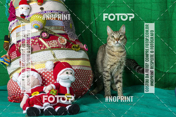 Buy your photos of the eventFotografia Pet Veterin�ria S�o Francisco on Fotop