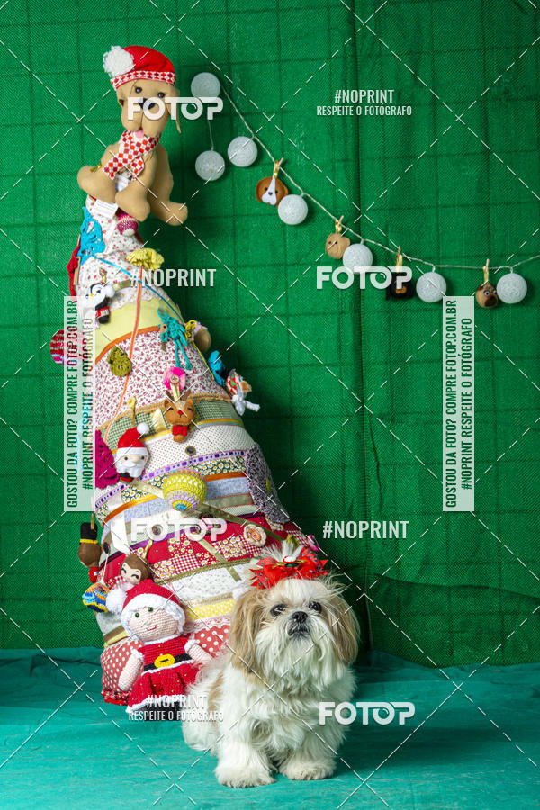 Buy your photos of the eventFotografia Pet Veterin�ria S�o Francisco on Fotop