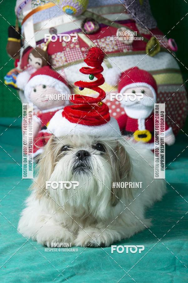 Buy your photos of the eventFotografia Pet Veterin�ria S�o Francisco on Fotop