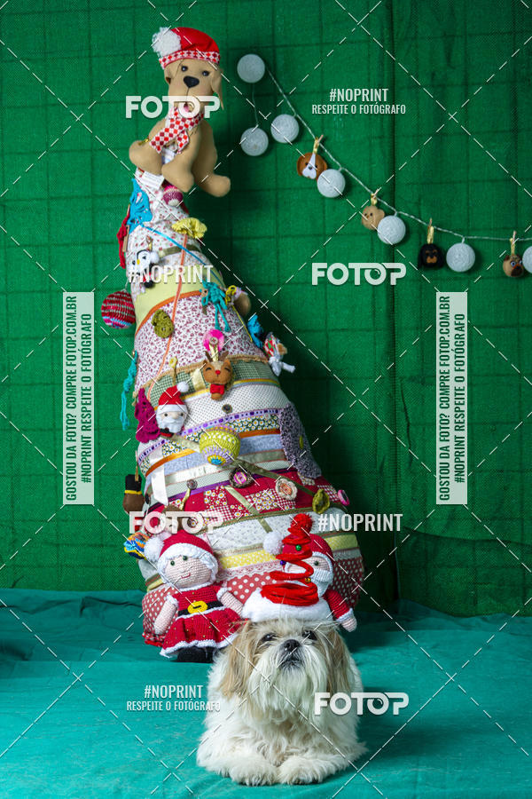 Buy your photos of the eventFotografia Pet Veterin�ria S�o Francisco on Fotop