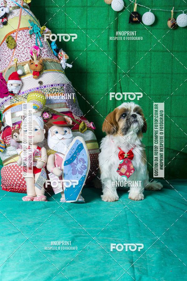 Buy your photos of the eventFotografia Pet Veterin�ria S�o Francisco on Fotop