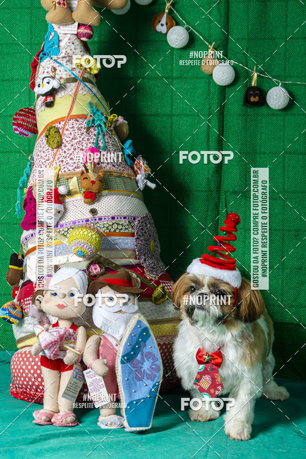 Buy your photos of the eventFotografia Pet Veterin�ria S�o Francisco on Fotop