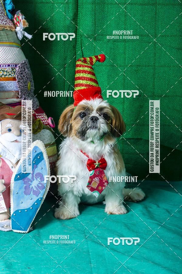 Buy your photos of the eventFotografia Pet Veterin�ria S�o Francisco on Fotop