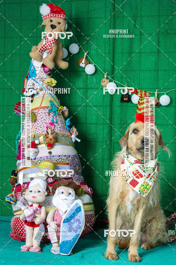 Buy your photos of the eventFotografia Pet Veterin�ria S�o Francisco on Fotop