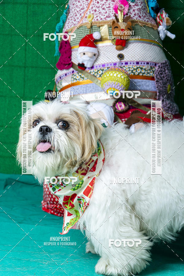 Buy your photos of the eventFotografia Pet Veterin�ria S�o Francisco on Fotop