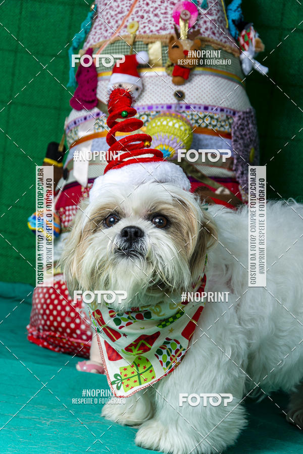 Buy your photos of the eventFotografia Pet Veterin�ria S�o Francisco on Fotop