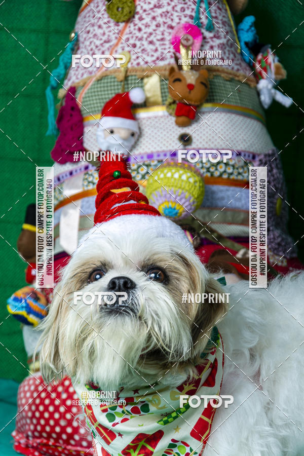 Buy your photos of the eventFotografia Pet Veterin�ria S�o Francisco on Fotop