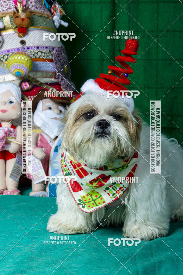 Buy your photos of the eventFotografia Pet Veterin�ria S�o Francisco on Fotop