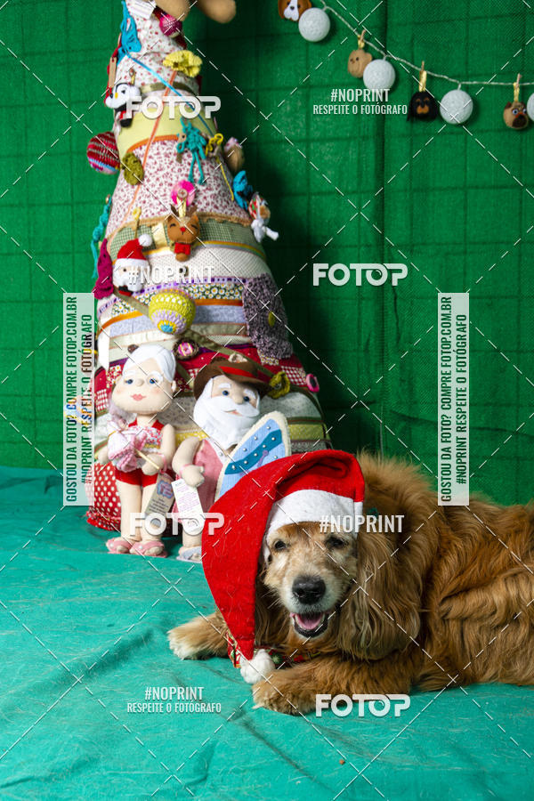 Buy your photos of the eventFotografia Pet Veterin�ria S�o Francisco on Fotop