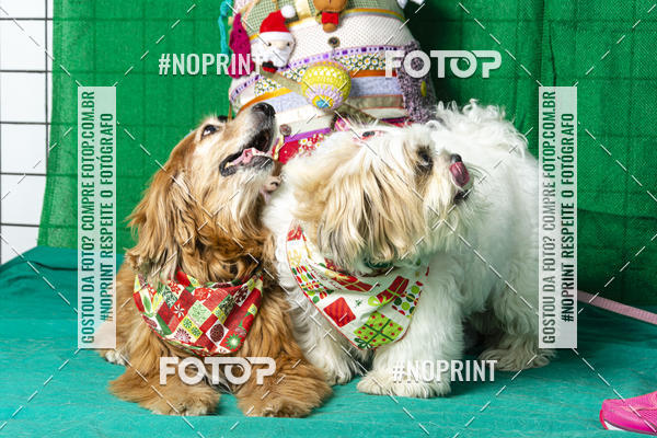 Buy your photos of the eventFotografia Pet Veterin�ria S�o Francisco on Fotop