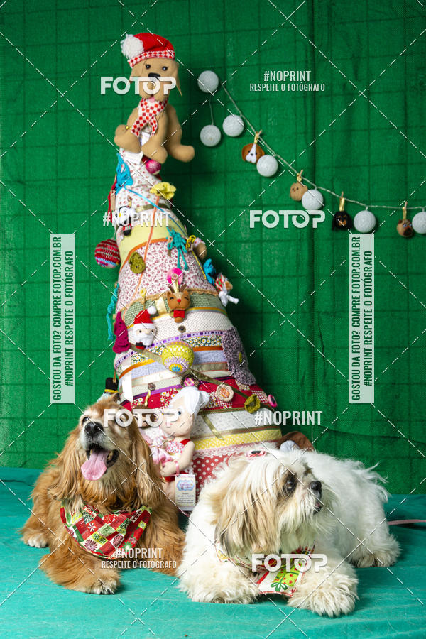 Buy your photos of the eventFotografia Pet Veterin�ria S�o Francisco on Fotop