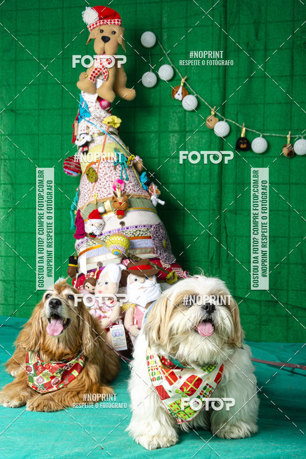 Buy your photos of the eventFotografia Pet Veterin�ria S�o Francisco on Fotop