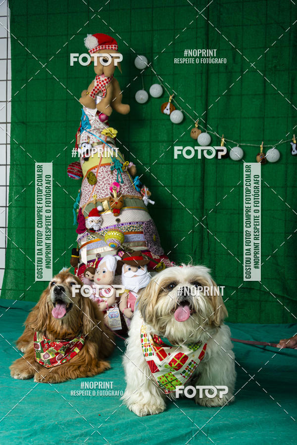 Buy your photos of the eventFotografia Pet Veterin�ria S�o Francisco on Fotop