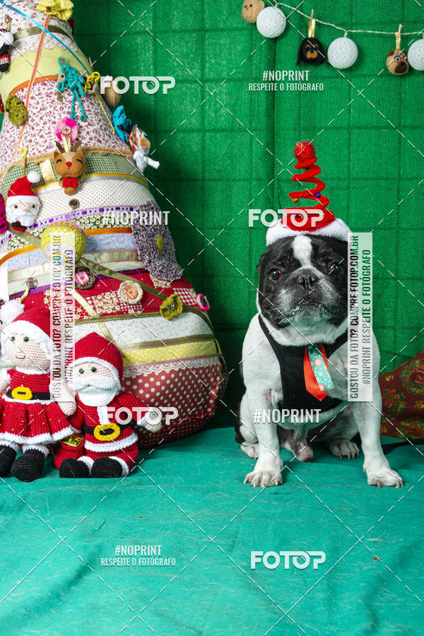 Buy your photos of the eventFotografia Pet Veterin�ria S�o Francisco on Fotop