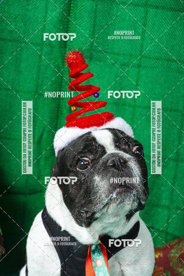 Buy your photos of the eventFotografia Pet Veterin�ria S�o Francisco on Fotop