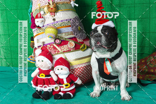 Buy your photos of the eventFotografia Pet Veterin�ria S�o Francisco on Fotop
