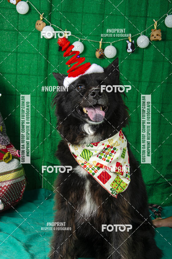 Buy your photos of the eventFotografia Pet Veterin�ria S�o Francisco on Fotop