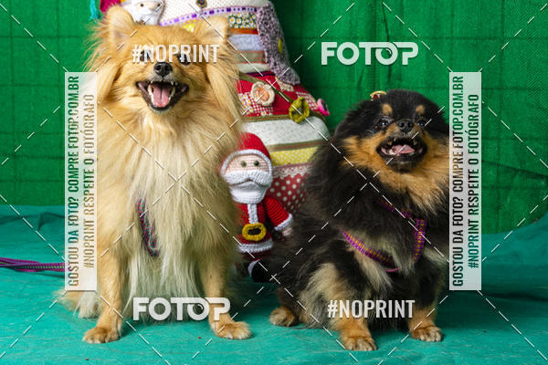 Buy your photos of the eventFotografia Pet Veterin�ria S�o Francisco on Fotop