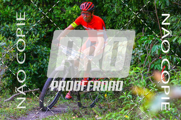 Acquista le foto dell'eventoITABIKER 15 ANOS  in Fotop