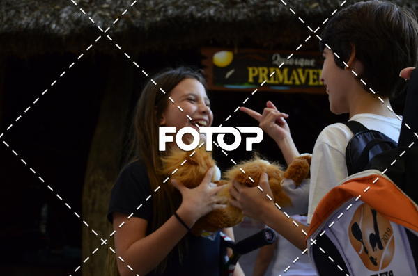 Compra tus fotos del eventoInterclubes de Beach Tennis 2019 1 Fase - CLUBE PAINEIRAS En Fotop