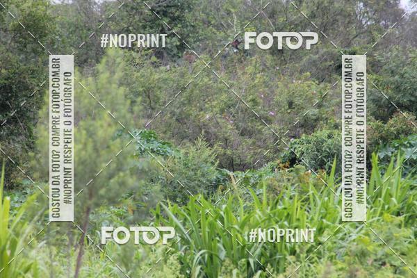 Buy your photos of the eventCorrida da Primavera on Fotop