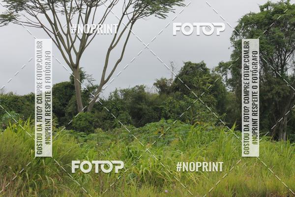 Buy your photos of the eventCorrida da Primavera on Fotop