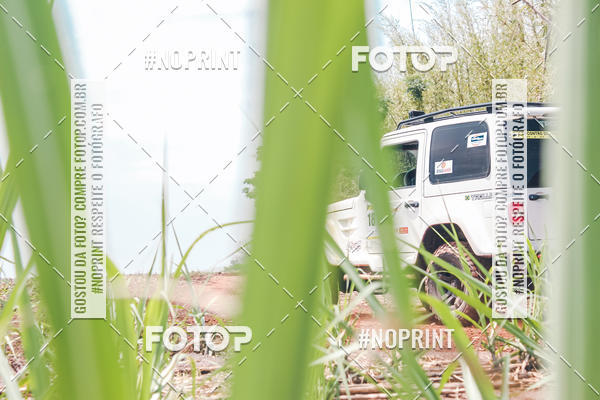 Buy your photos of the event18 Rally da Solidariedade Off Road Experience on Fotop