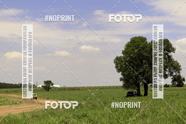 Buy your photos of the event18 Rally da Solidariedade Off Road Experience on Fotop